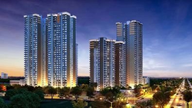 Layout Gallery Image